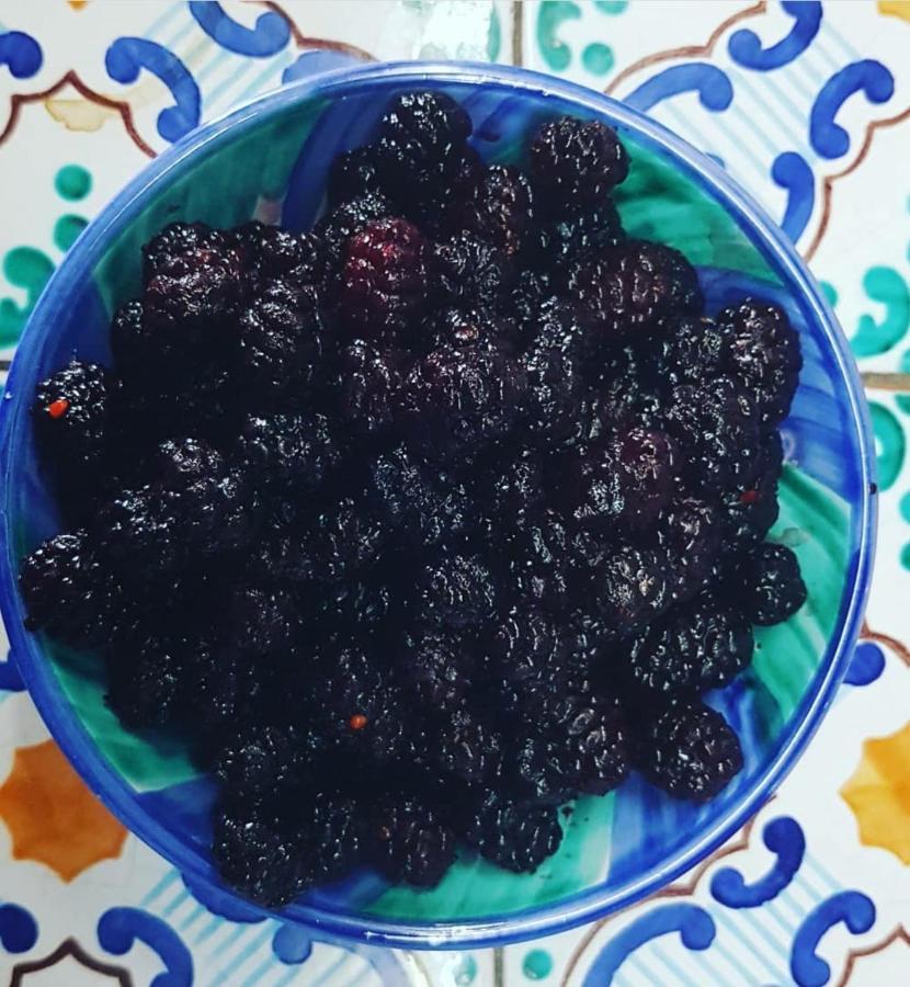 Il Cortile Del Marchese Beccadelli Bed & Breakfast Sambuca di Sicilia Eksteriør bilde